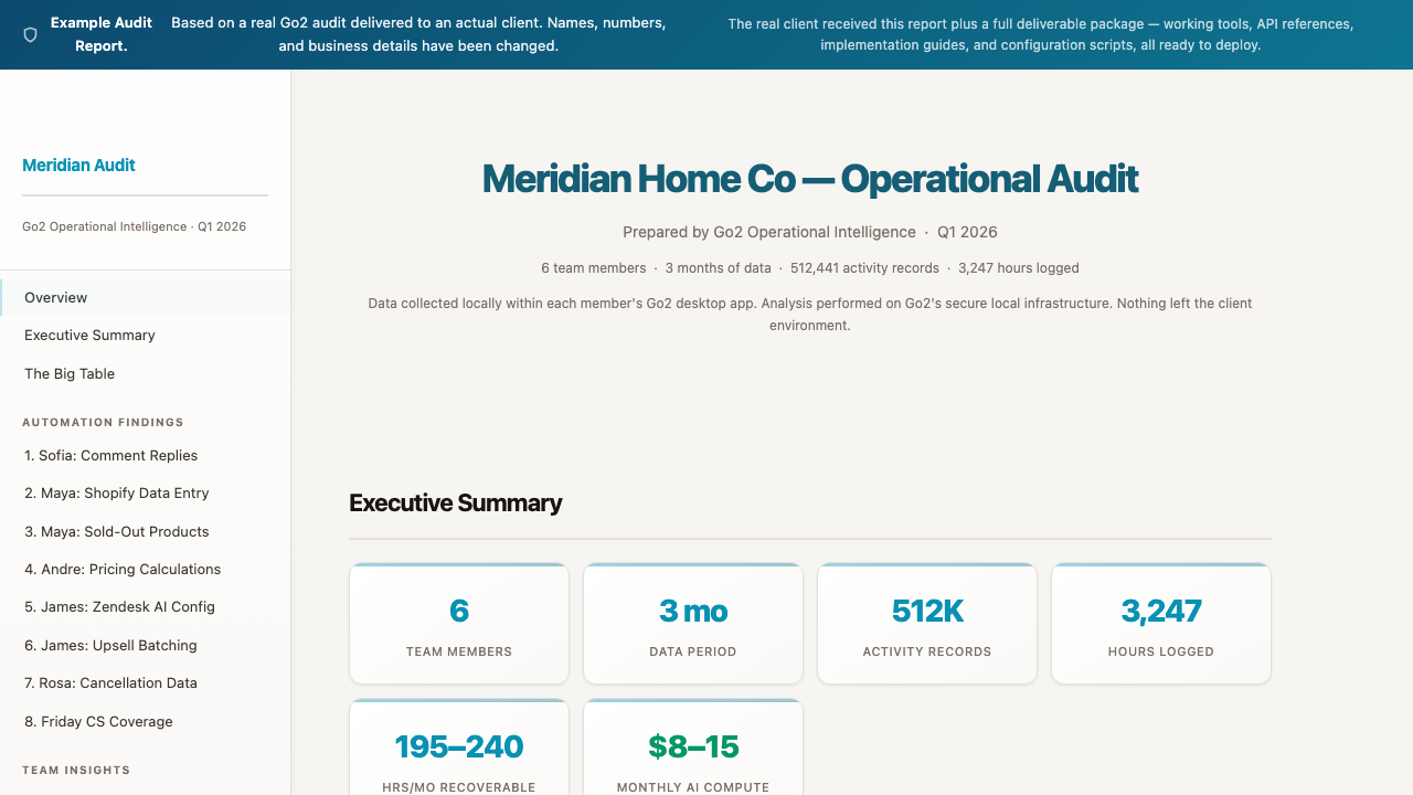 Preview of a real Go2 example audit with details altered to protect privacy.
