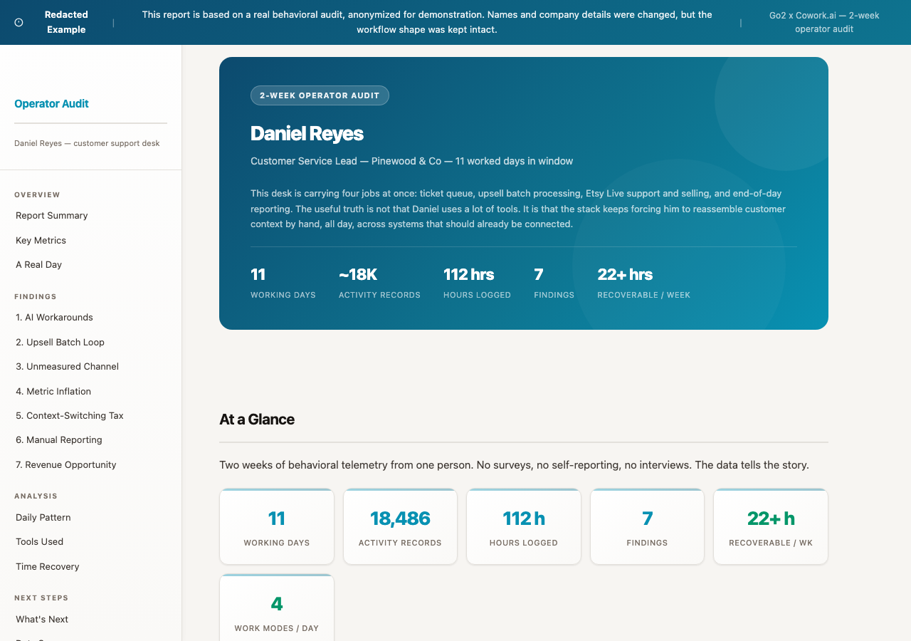 Preview of the Customer Service Lead individual discovery.